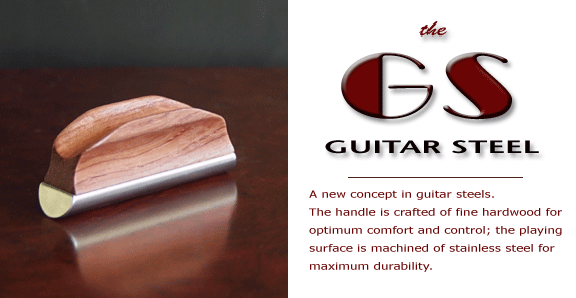 Shubb GS Guitar Steel Shubb GS Guitar Steel